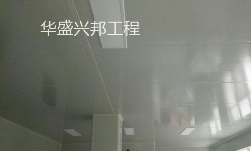 通江魔芋厂项目1.25