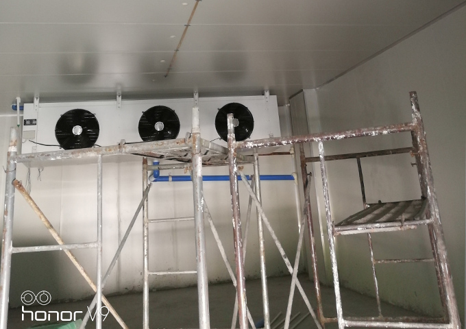 四川烫牛食品有限公司（食品冻库）