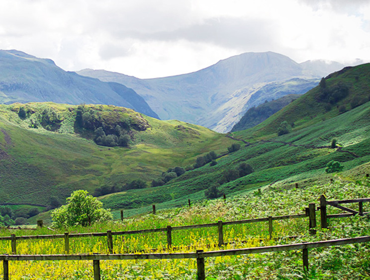 四川乡巴佬农牧集团有限公司厂房装修现场