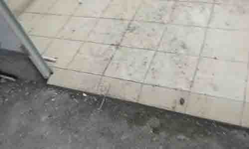 20170915沈包子项目