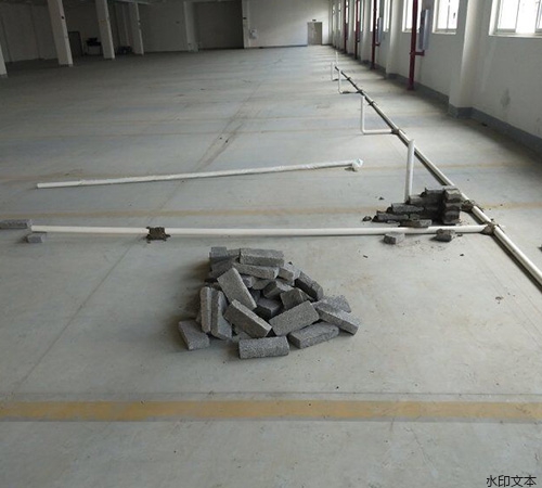 遵义臻坤生物8.18