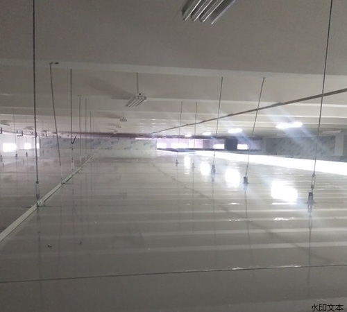 遵义臻坤生物9.8