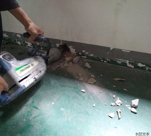 重庆家调生态食品有限公司9.28