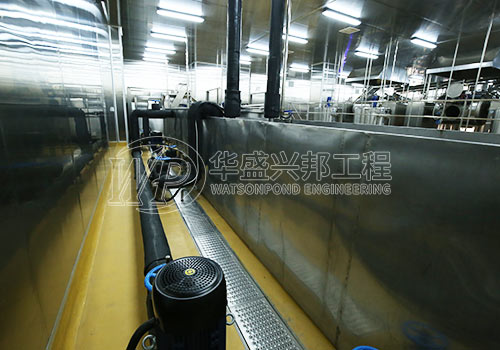 速冻肉制品车间排水沟选型:新国标下的明沟与暗沟分区逻辑 速冻肉制品车间排水沟选型:新国标下的明沟与暗沟分区逻辑