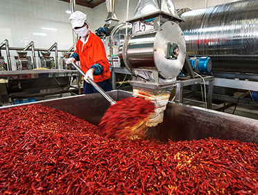 郫县辣椒厂1.2
