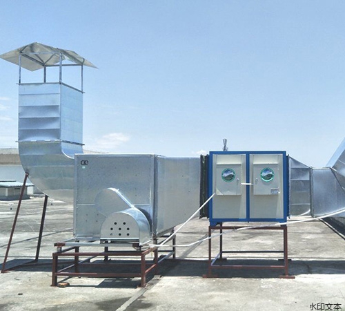 都江堰袁鲜项目6.10