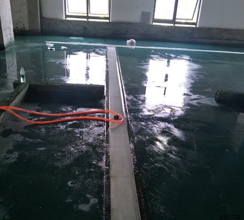 新鑫和9-1-1蓉锦汇食品厂5.28