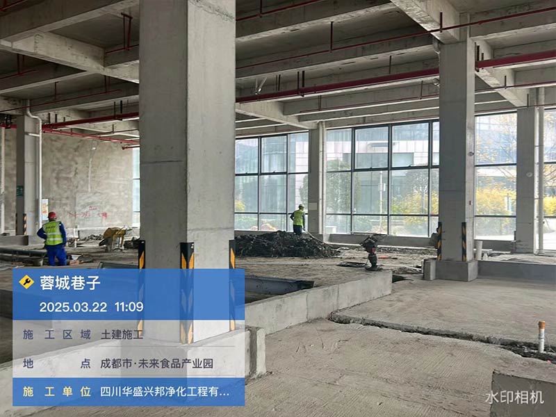 温江蓉城巷子调味品项目