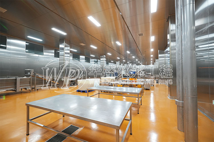 四川七叔公食品有限公司项目