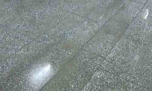 20170611双流龙山毛肚