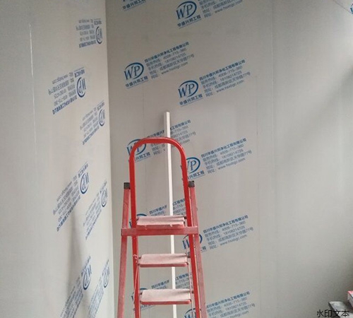 贵阳贵紫水果干项目8.7