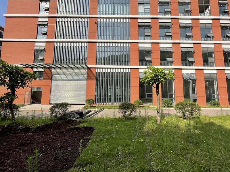 泸州袁大头麻辣鸡项目