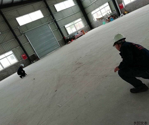 绵阳七叔公速冻食品厂4.5