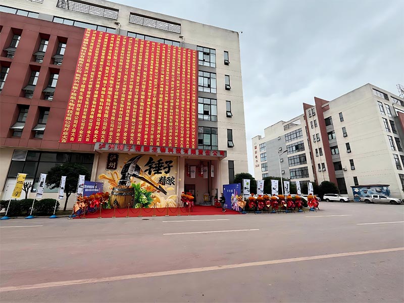 泸州锤子精酿项目