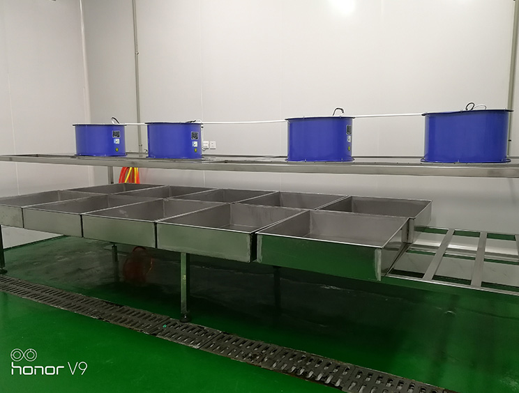 仁寿县庆丰食品厂厂房装修现场